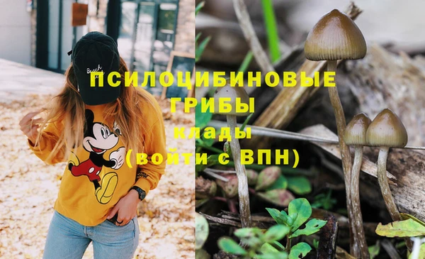 стафф Покровск