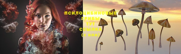 тгк Покров