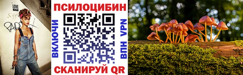Псилоцибиновые грибы мицелий  kraken ONION  Бугульма 