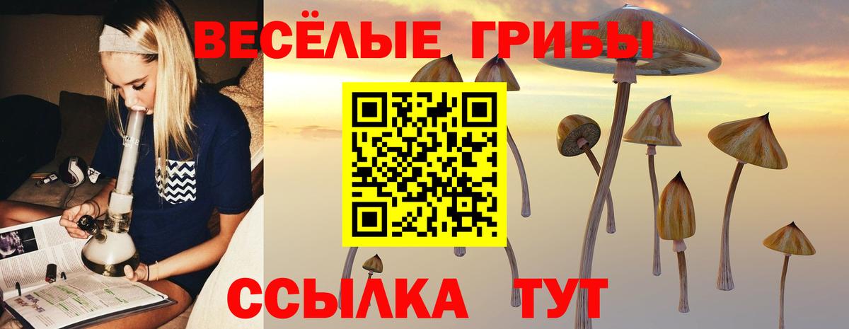 Псилоцибиновые грибы MAGIC MUSHROOMS  где продают   Псилоцибиновые грибы мухоморы  Бугульма 